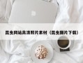 玉树昆虫网站高清照片素材（昆虫图片下载）